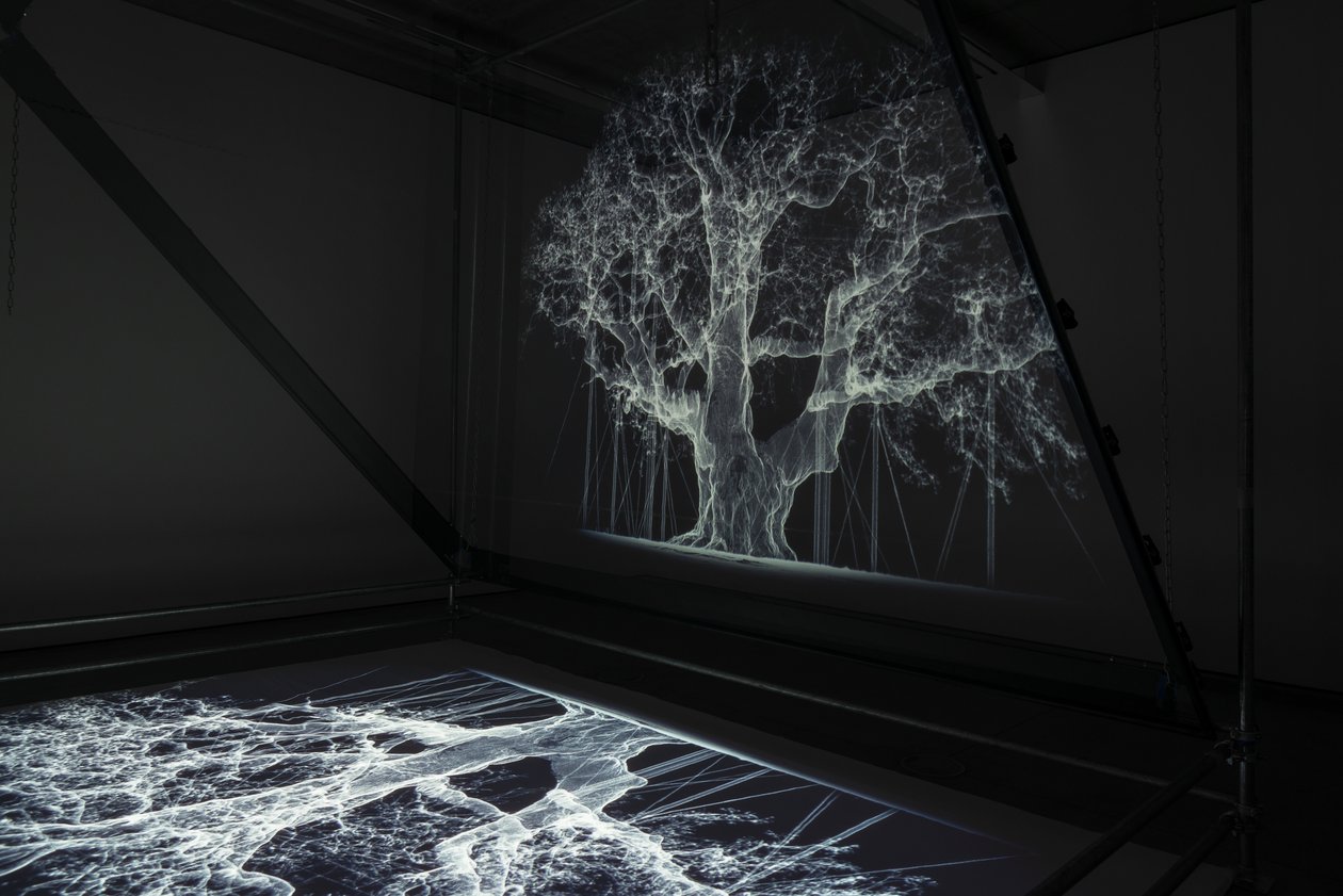 Albion, 2017 (projecteur, lecteur multimédia, échafaudage, film transparent, bois, peinture, miroir, accessoires d
