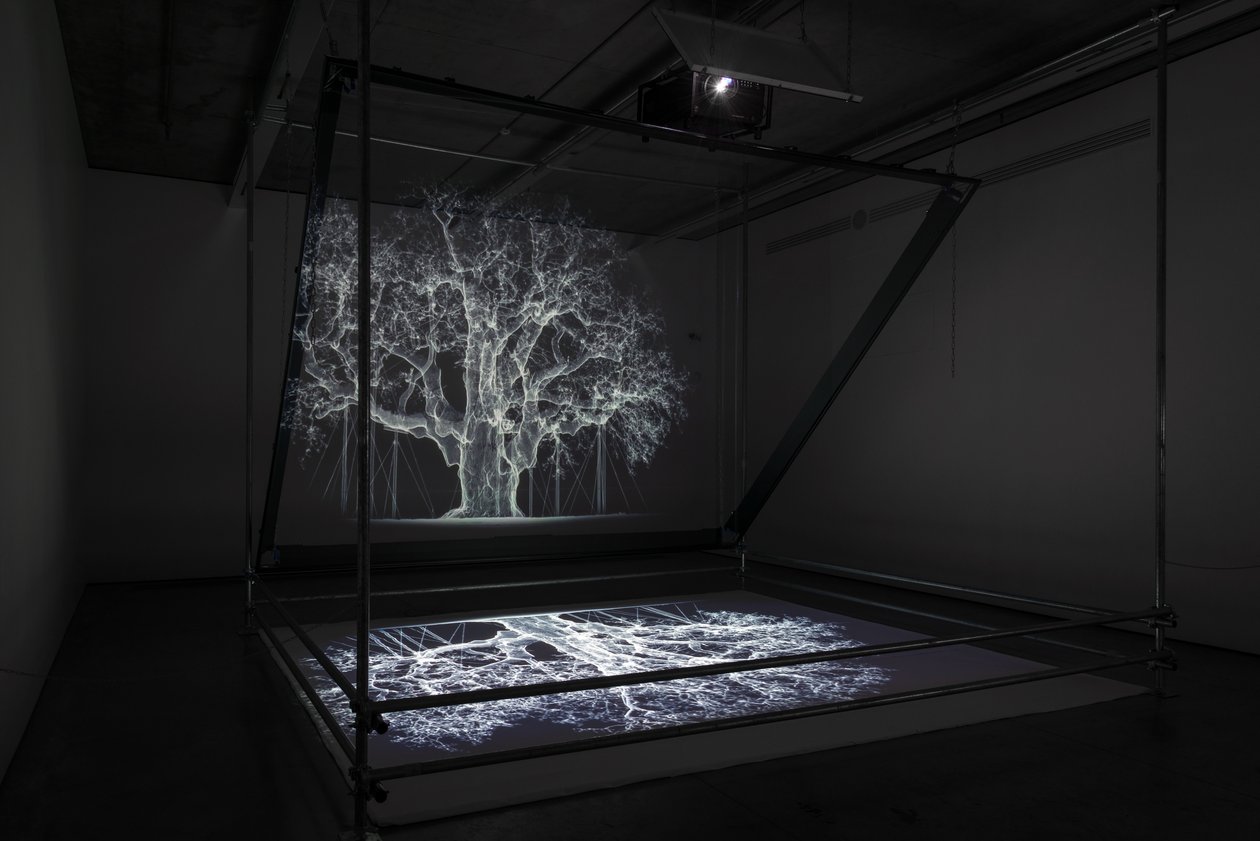 Albion, 2017 (projecteur, lecteur multimédia, échafaudage, film transparent, bois, peinture, miroir, accessoires d