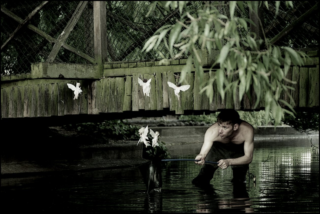 Attraper les fées 6 - Mat Collishaw
