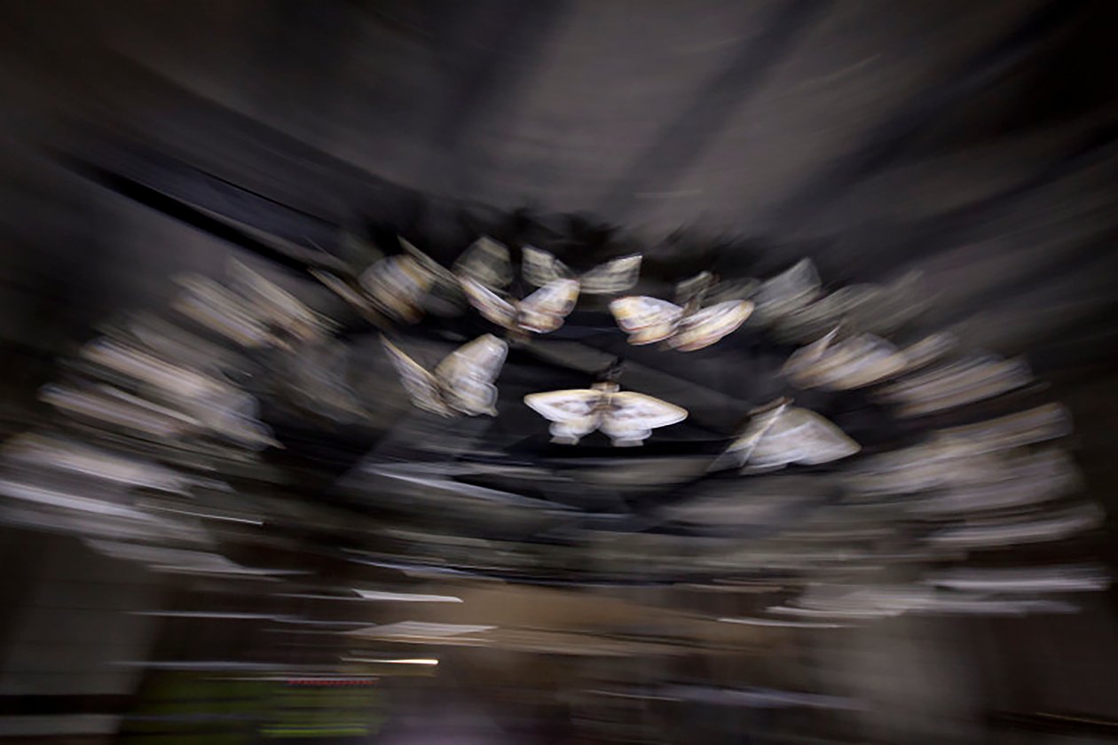 Lanterne magique, 2010 (cadre en acier, tôle perforée en aluminium, résine expansée, lumières LED, moteur) - Mat Collishaw