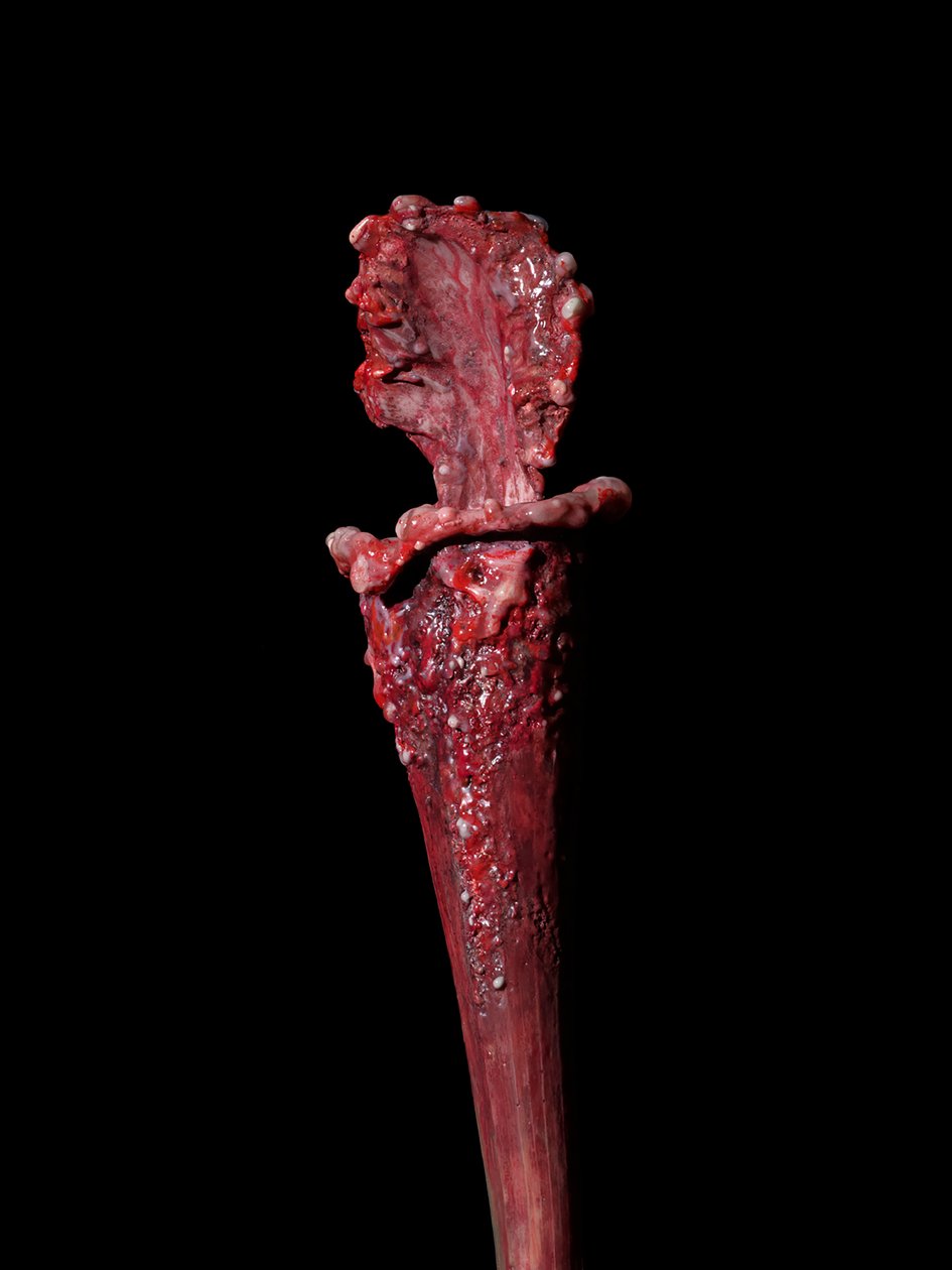The Venal Muse, Fenside, 2012 (résine, peinture émaillée, bois, verre, acier) - Mat Collishaw