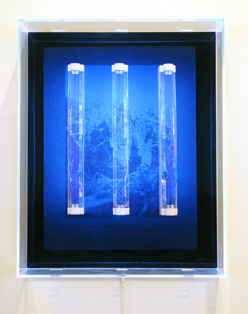 UV Garden, Fairy, Sunbath, Elves, Etc., 2008 (Sérigraphie sur acrylique, lumière UV et luminaires) - Mat Collishaw