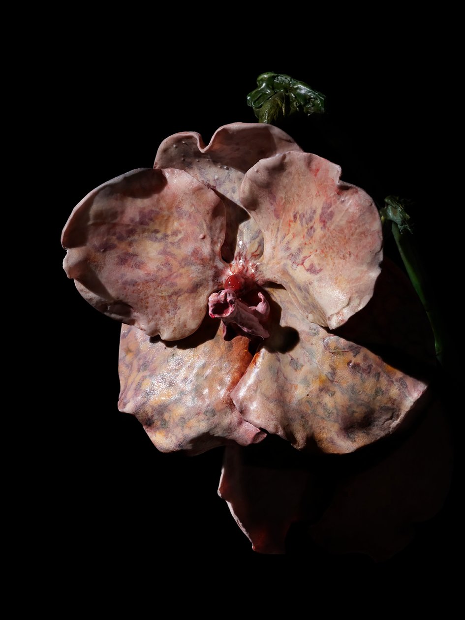 Venal Muse, Impetus, 2012 (résine, peinture émaillée, bois, verre, acier) - Mat Collishaw