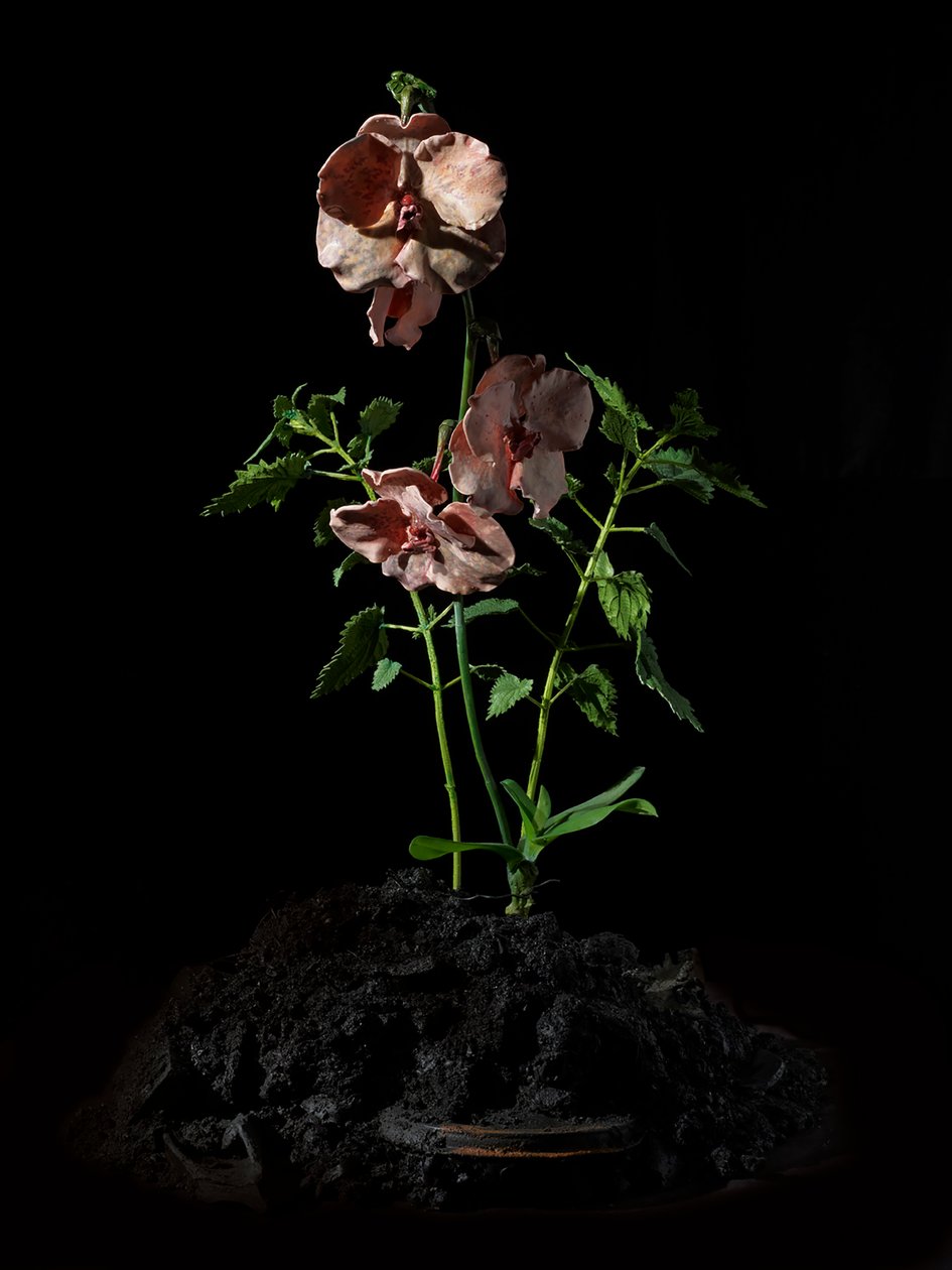 Venal Muse, Impetus, 2012 (résine, peinture émaillée, bois, verre, acier) - Mat Collishaw