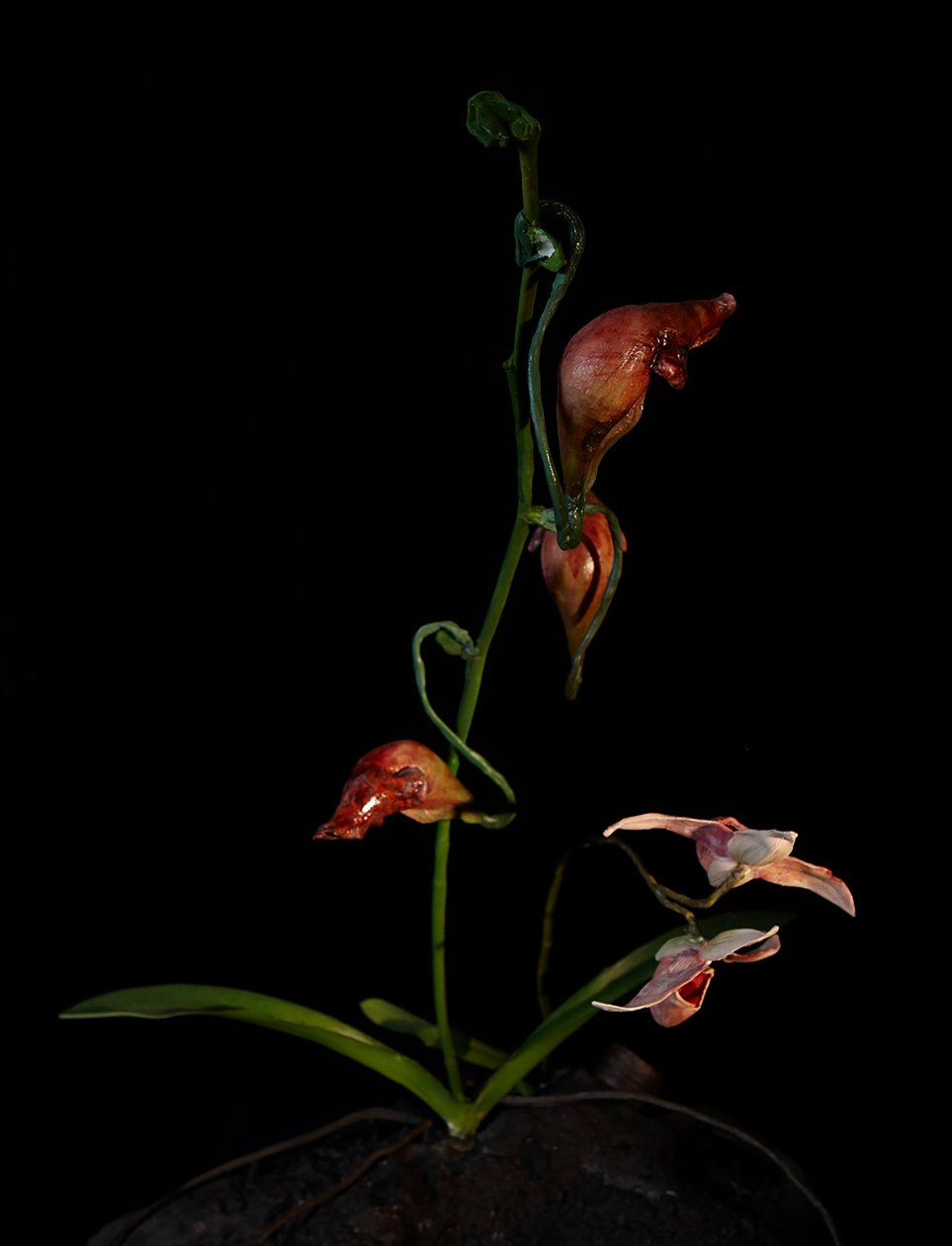 Muse vénale, Lafage, 2012 (résine, peinture émaillée, bois, verre, acier) - Mat Collishaw