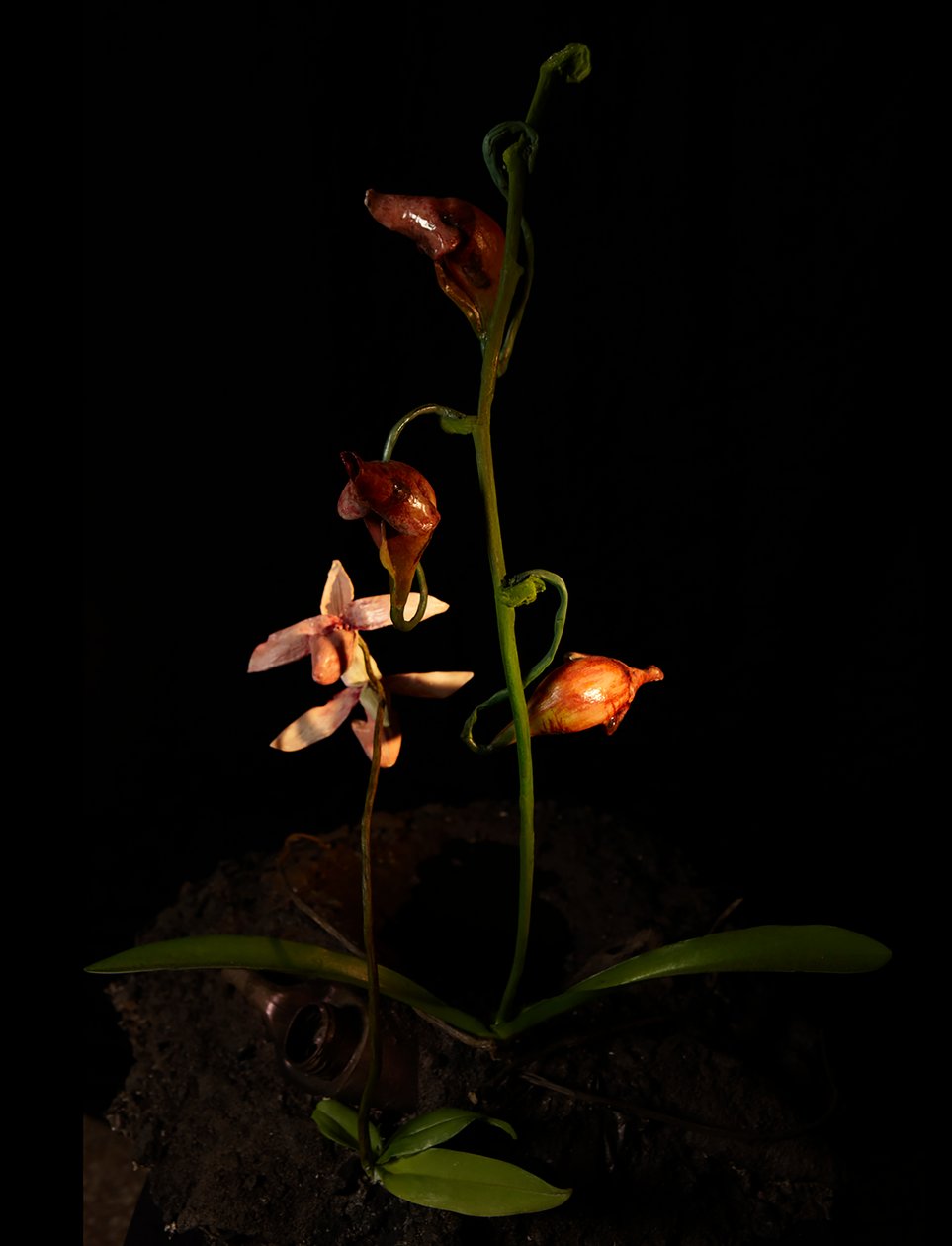 Muse vénale, Lafage, 2012 (résine, peinture émaillée, bois, verre, acier) - Mat Collishaw