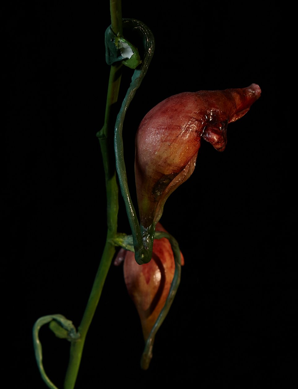 Muse vénale, Lafage, 2012 (résine, peinture émaillée, bois, verre, acier) - Mat Collishaw