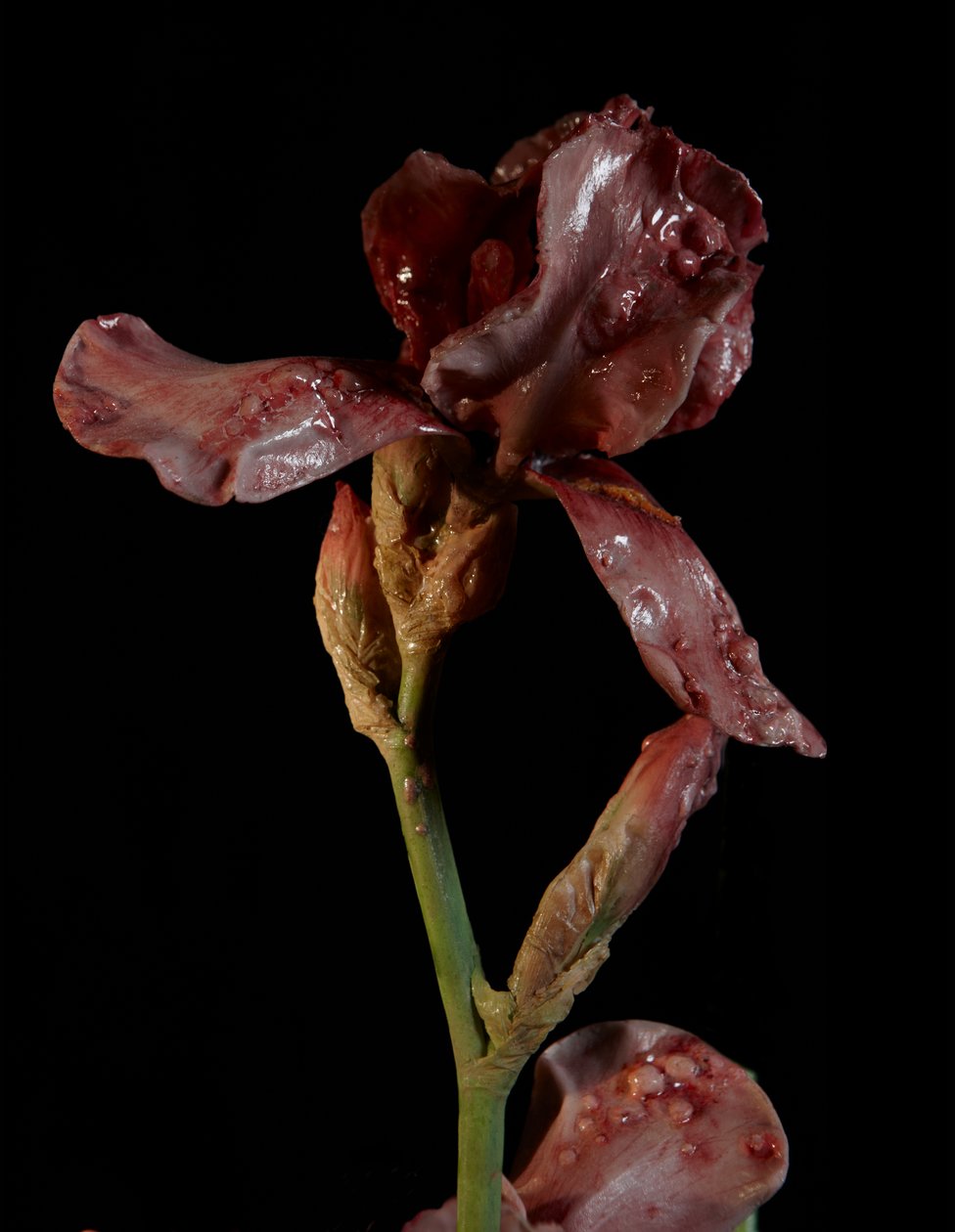 Muse vénale, Viridor, 2012 (résine, peinture émaillée, bois, verre, acier) - Mat Collishaw
