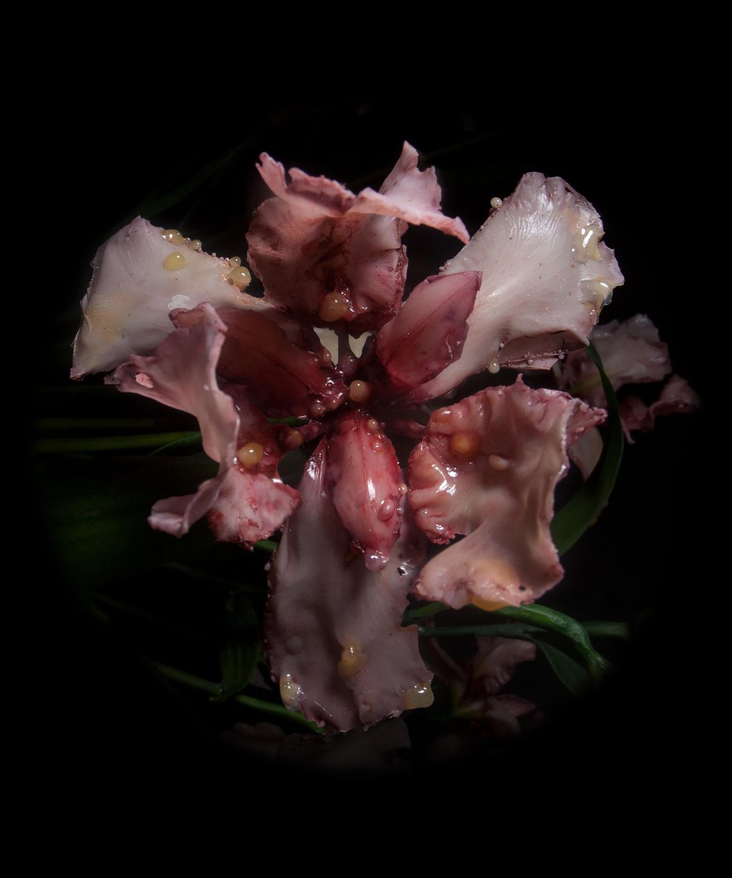 Muse vénale, Viridor, 2012 (résine, peinture émaillée, bois, verre, acier) - Mat Collishaw