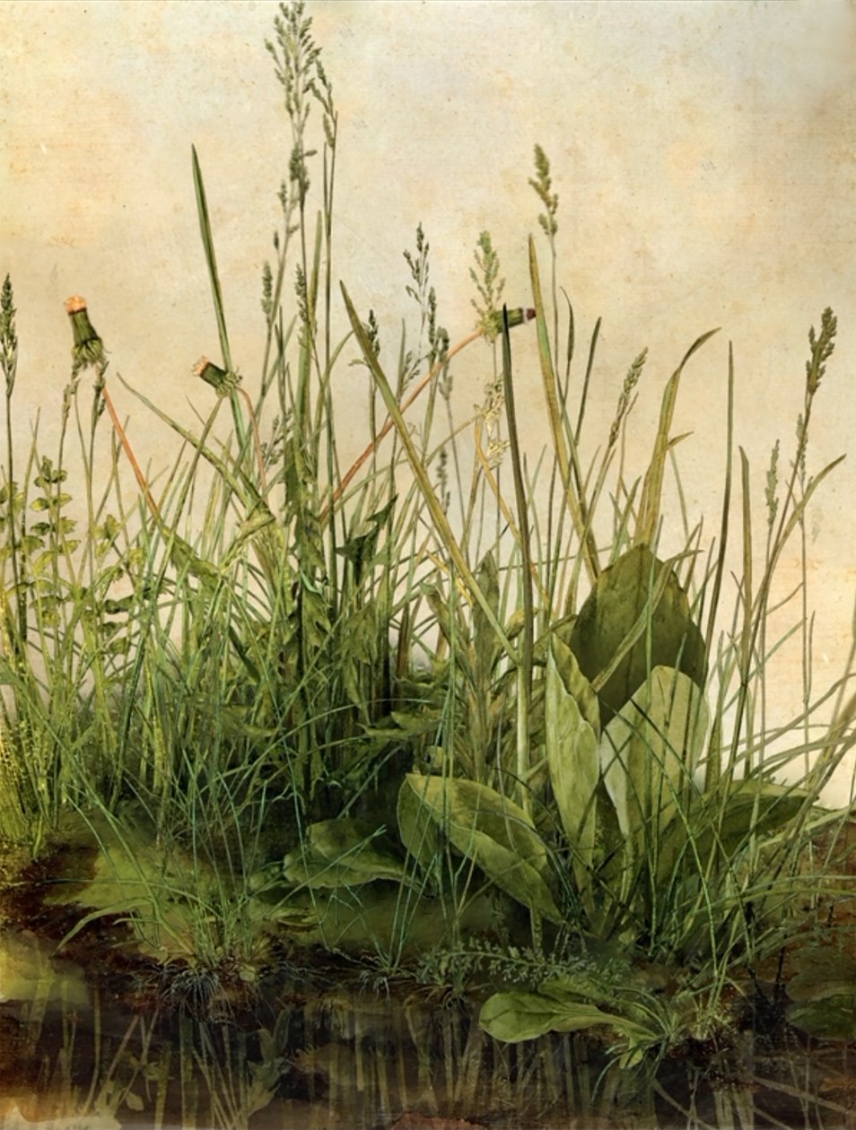 Whispering Weeds, 2011 (cadre en bois, bordure, écran LCD, ventilateur et disque dur) - Mat Collishaw