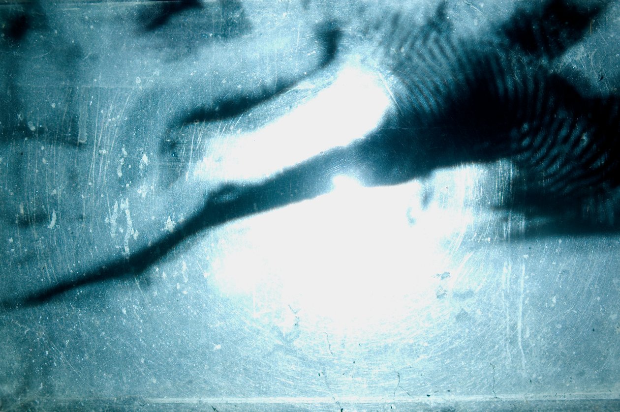 Wormery, 2009 (bois, verre, acier, projecteur et lecteur) - Mat Collishaw