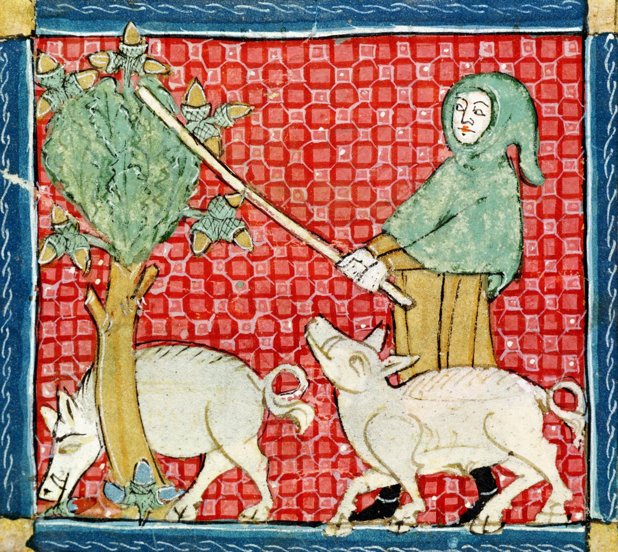Fol.59v Novembre : Récolte des glands - Matfre Ermengaut