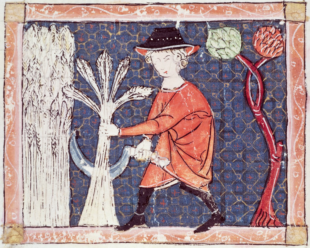 Fol.58v Juillet : La Moisson - Matfre Ermengaut