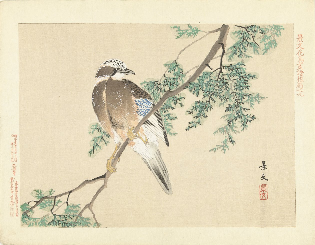 Geai sur une branche - Matsumura Keibun