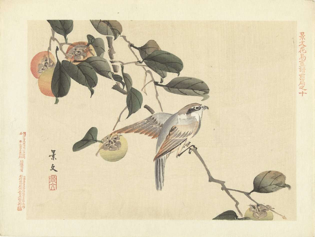 Oiseau et kaki - Matsumura Keibun