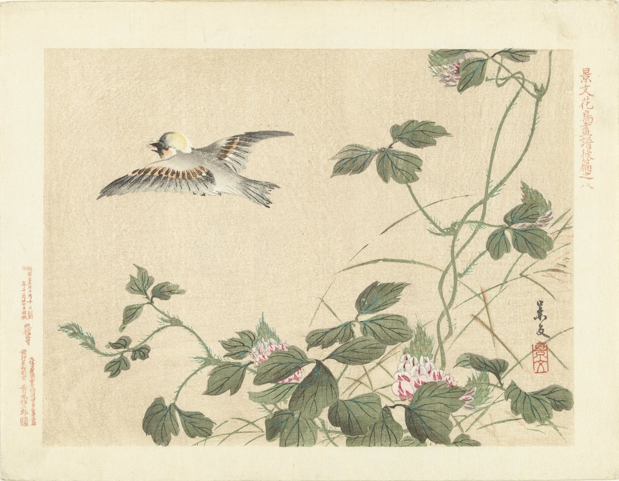 Oiseau volant près d
