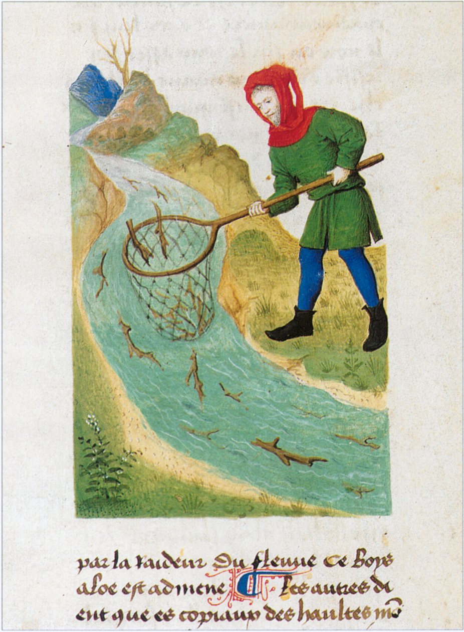 Le Livre des simples médecines - traduction en français du manuscrit latin du 12e siècle de Matthaeus Platearius (parchemin) - Matthaeus Platearius