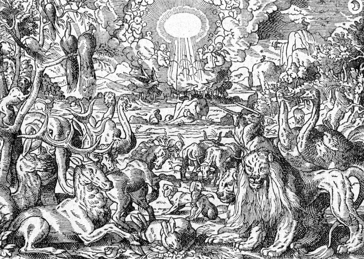 Paradis - Matthaus the Elder Merian