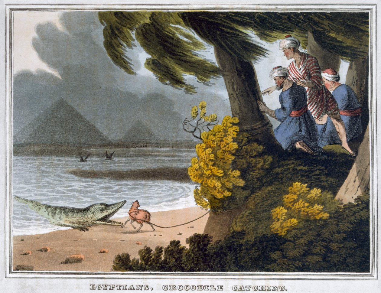 Égyptiens, capture de crocodiles, 1813 - Matthew Dubourg