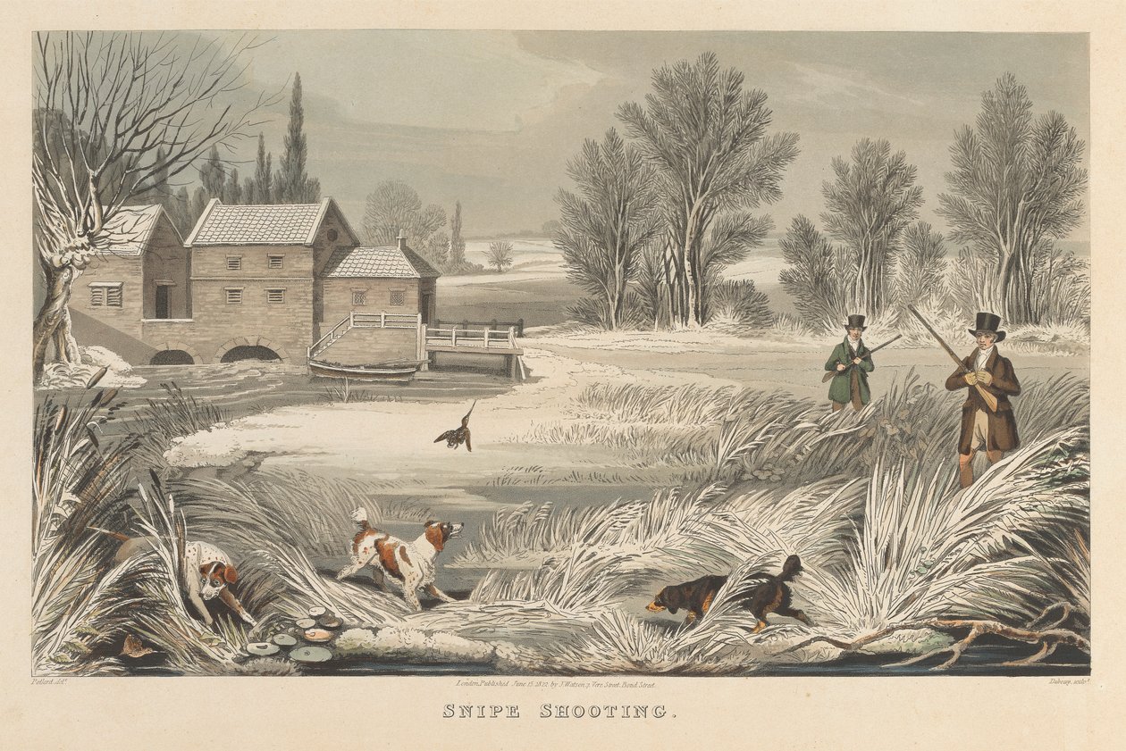Chasse à la bécassine - Matthew Dubourg