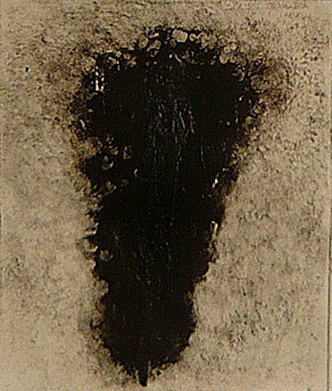 ossie, 2009 (hélioprint) - Matthew Hilton