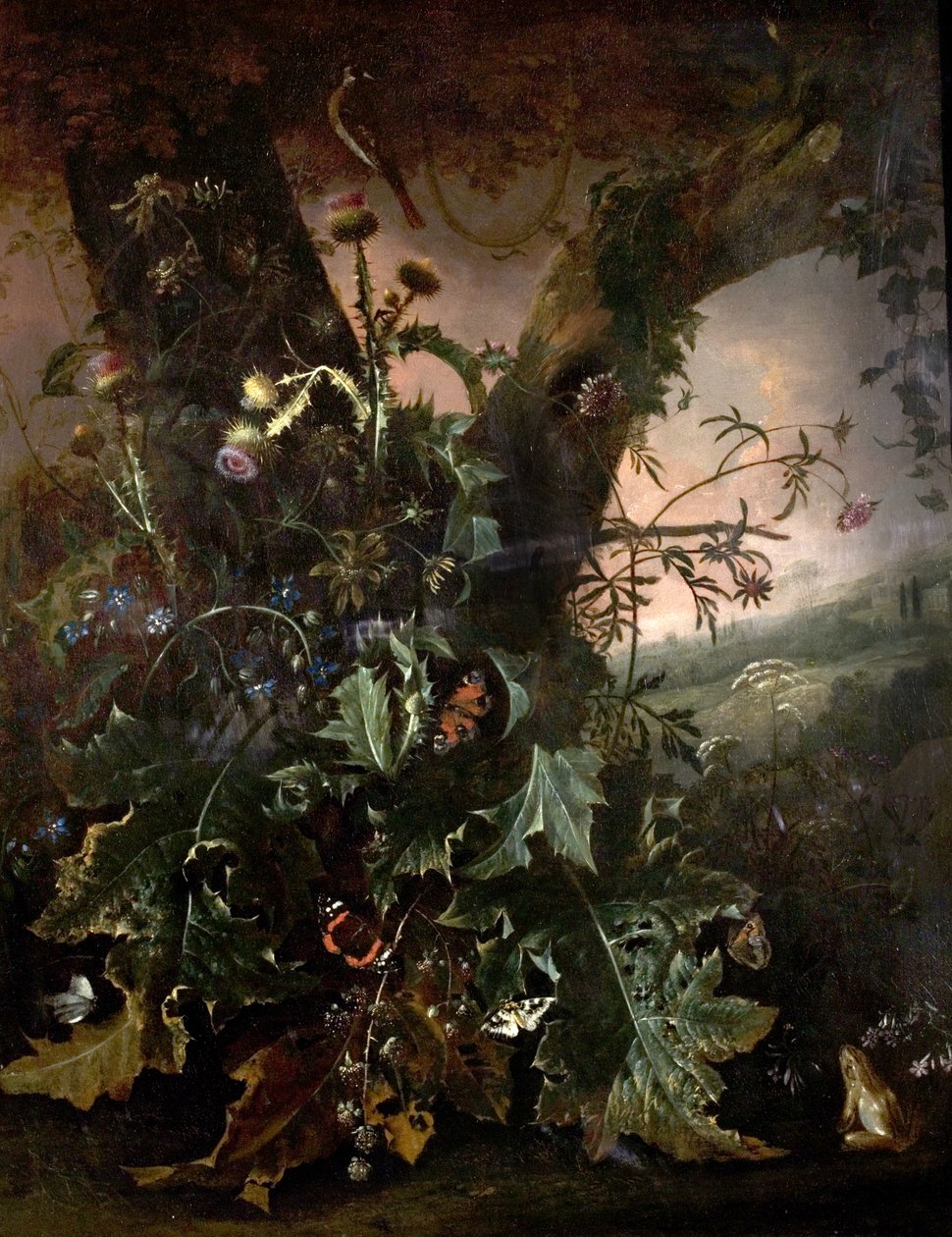 Nature morte avec grenouille et chardonneret - Matthias Withoos