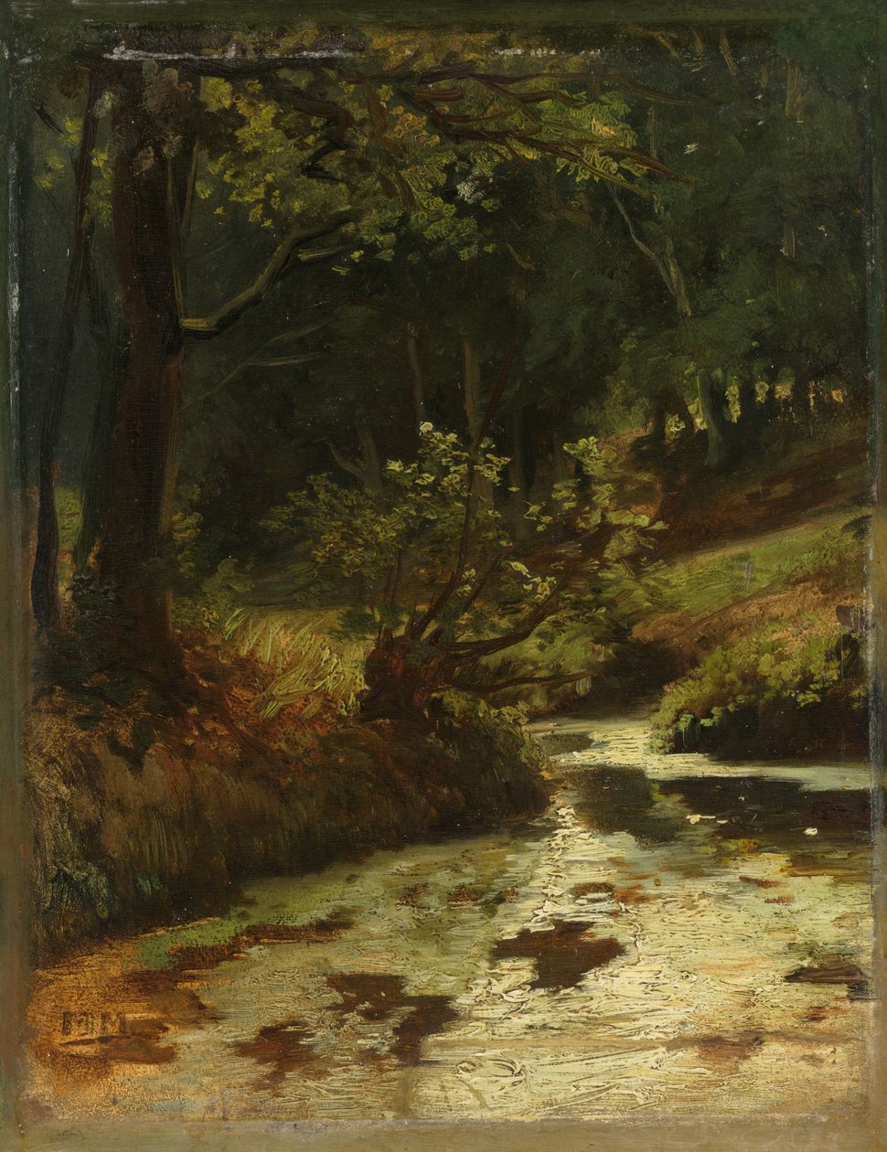 Ruisseau dans les bois près d