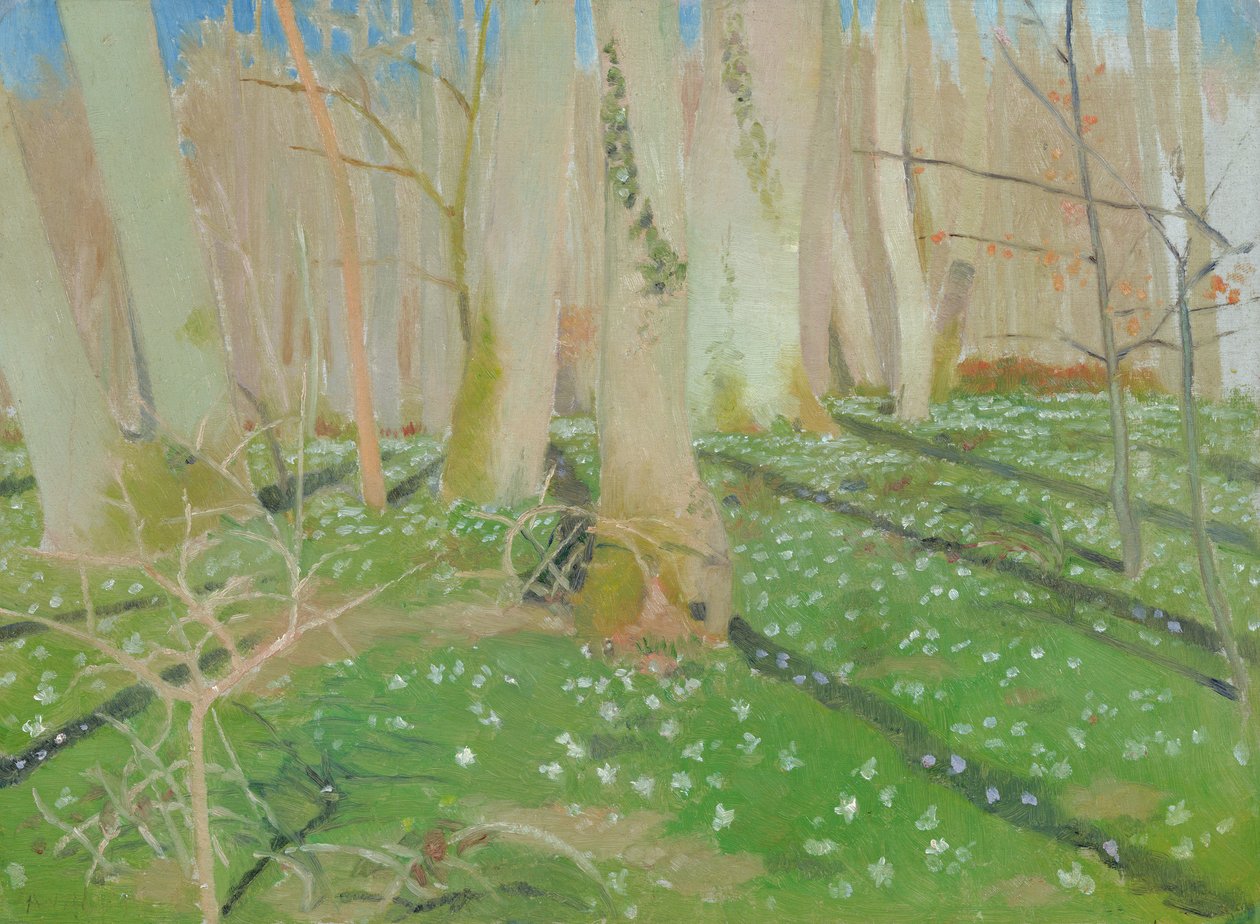 Forêt avec des anémones - Maurice Denis