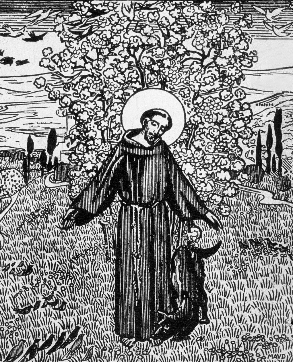 Saint François d
