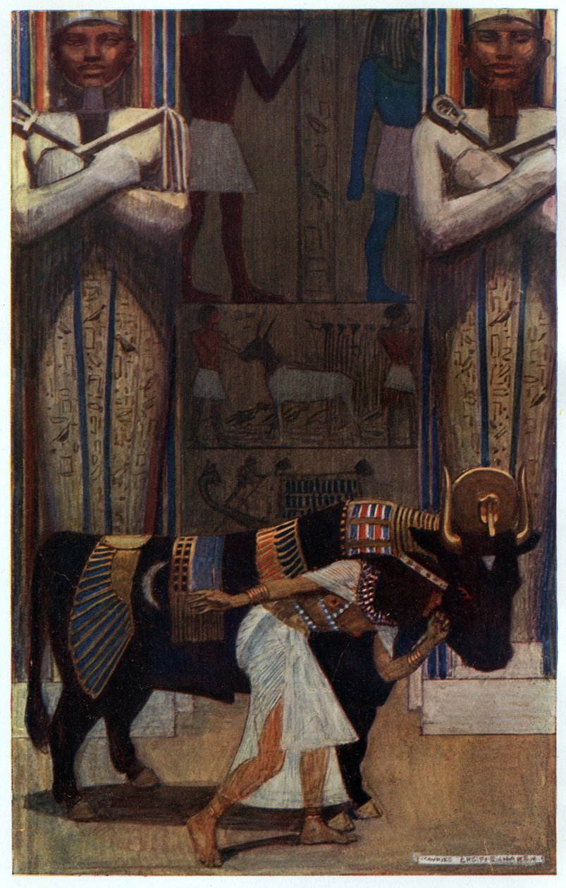 La jeune épouse et le taureau de bain, illustration de 