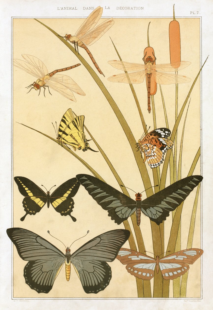 Papillons, de 