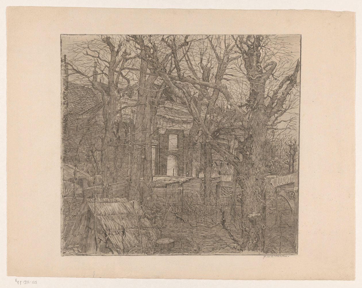 Arbres autour d