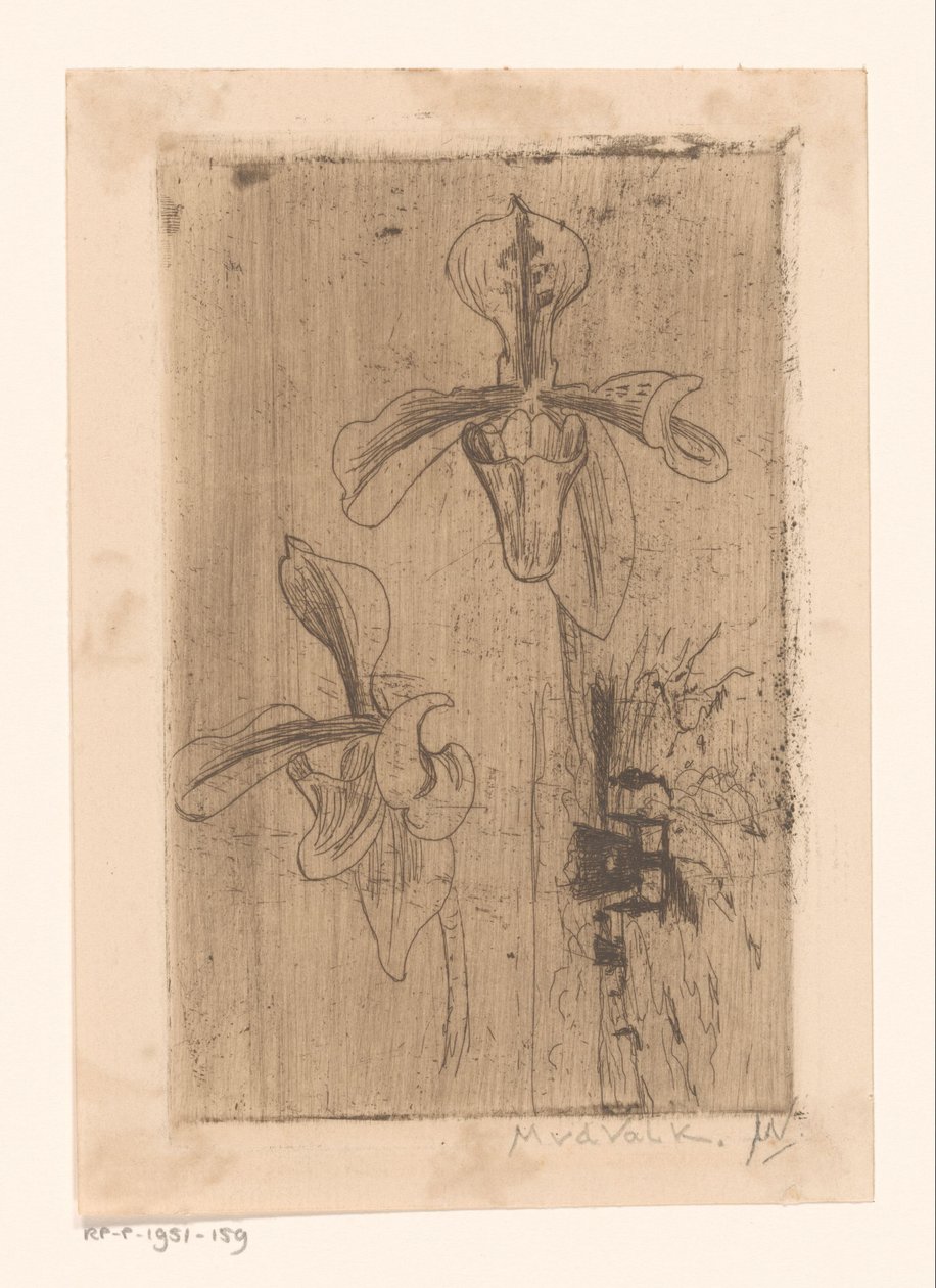 Deux orchidées et une charrette sur la plage - Maurits van der Valk (signed by artist)
