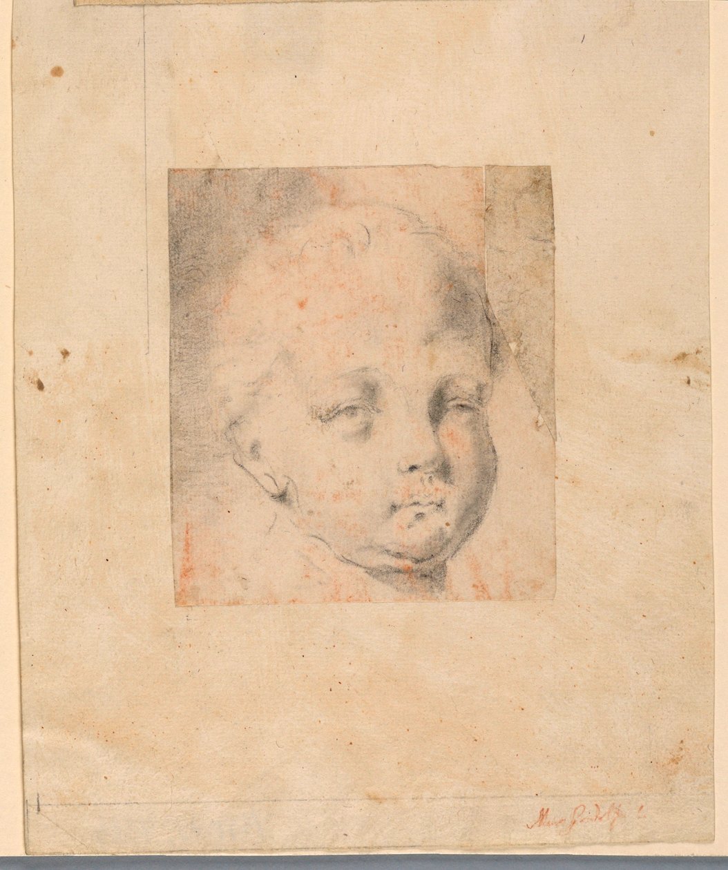 Dessin, étude : Tête de garçon, 1810-34 - Mauro Gandolfi