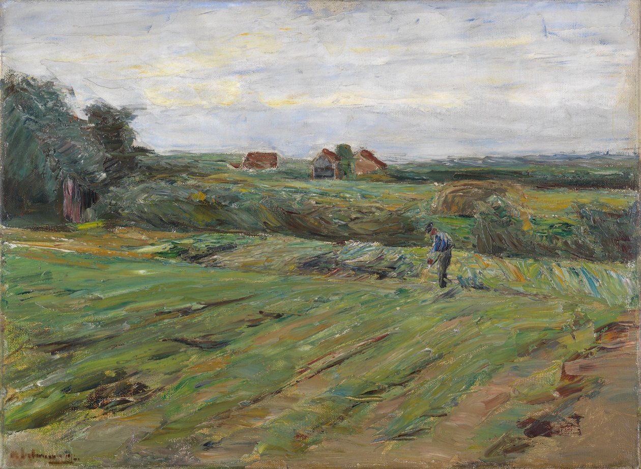 Champ de récolte - Max Liebermann