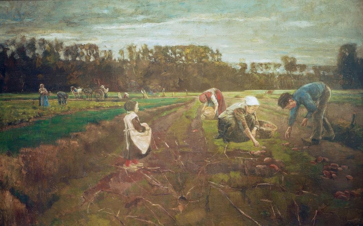Récolte de pommes de terre à Barbizon - Max Liebermann