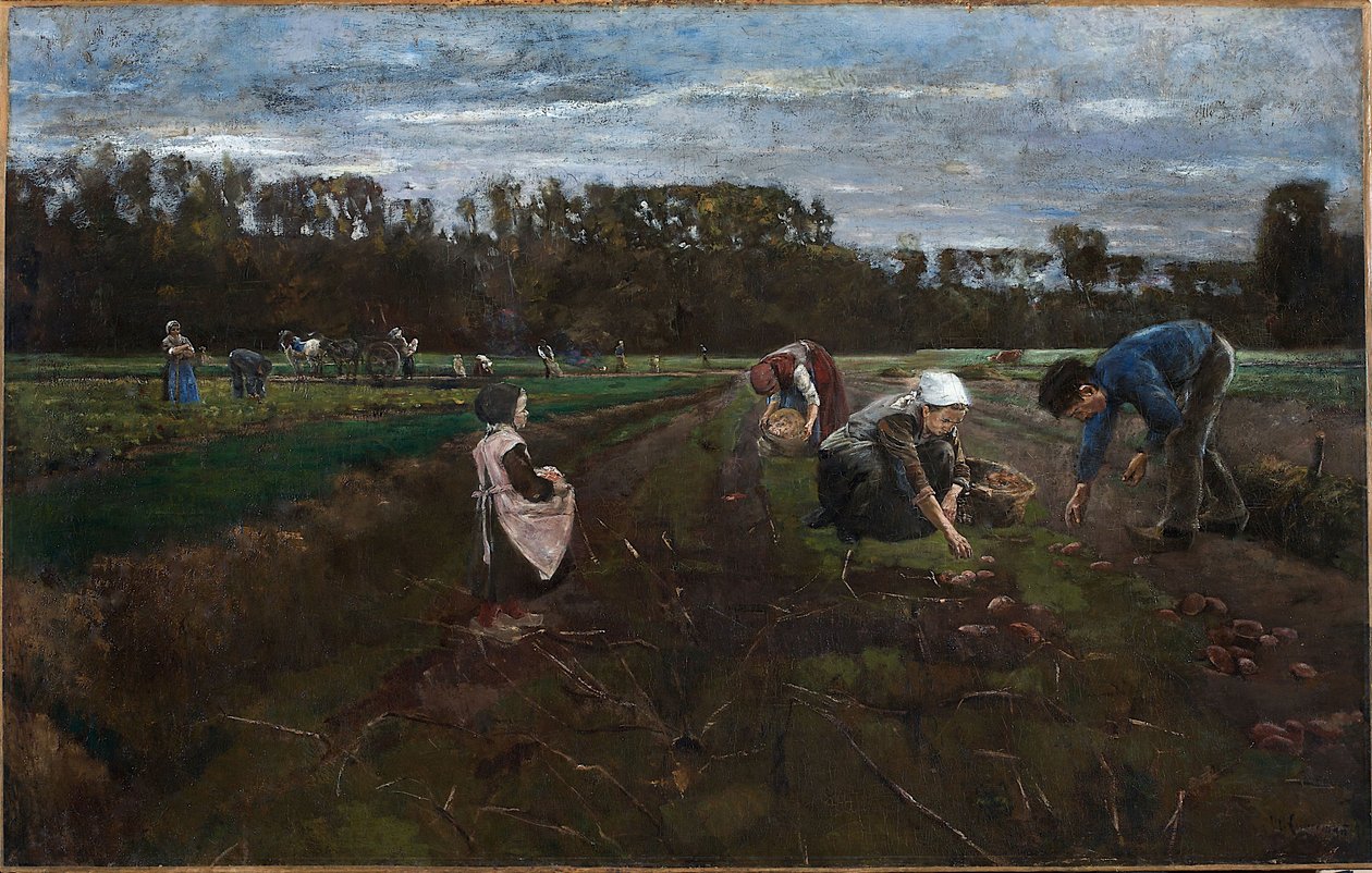 Récolte des pommes de terre - Max Liebermann