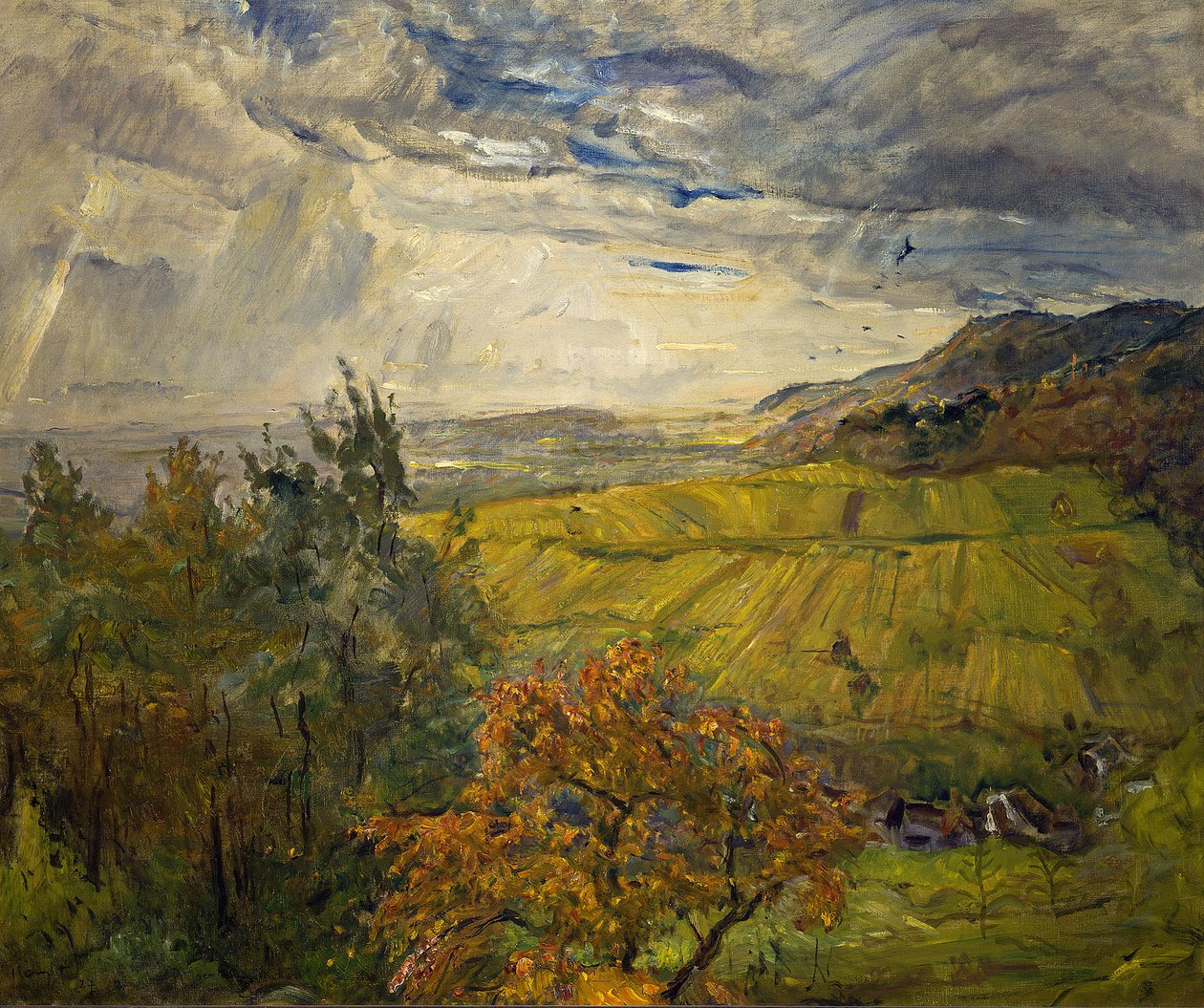 Paysage d