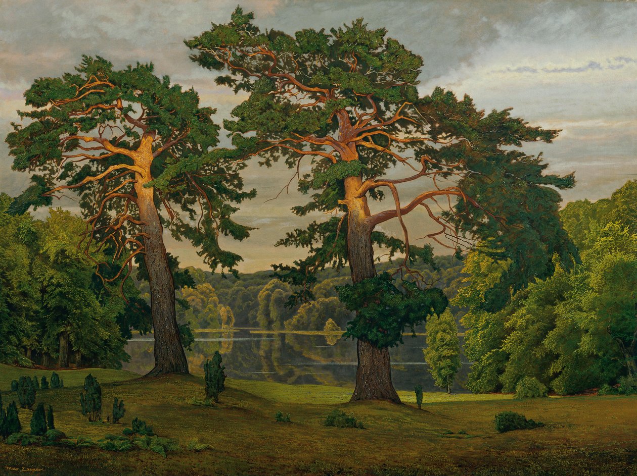 Des pins à la lisière de la forêt - Max Zaeper