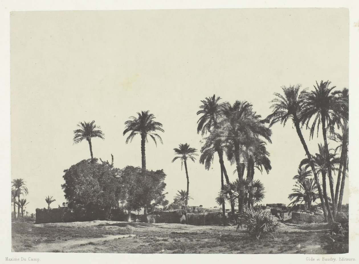Village de Hamameh, Haute-Égypte, 1849-51, imprimé en 1852 - Maxime Du Camp