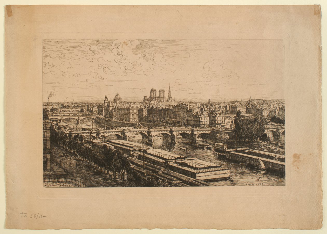 Vue de Paris depuis le Louvre - Maxime Lalanne
