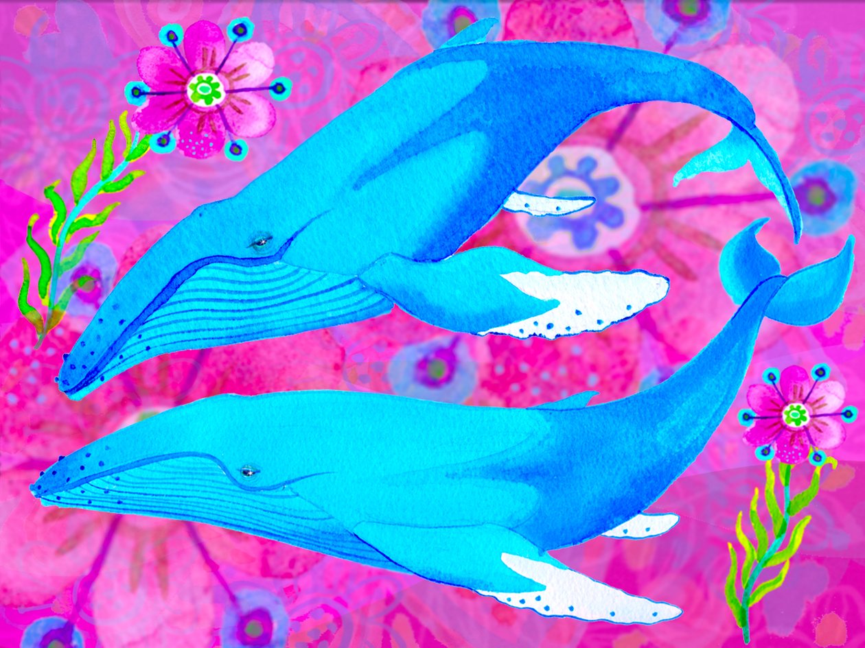 Baleines amoureuses, 2017 - Maylee Christie