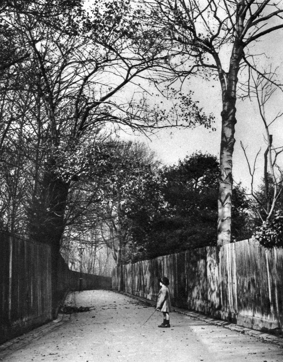Automne à Holland Walk, Londres, 1926-1927 - McLeish