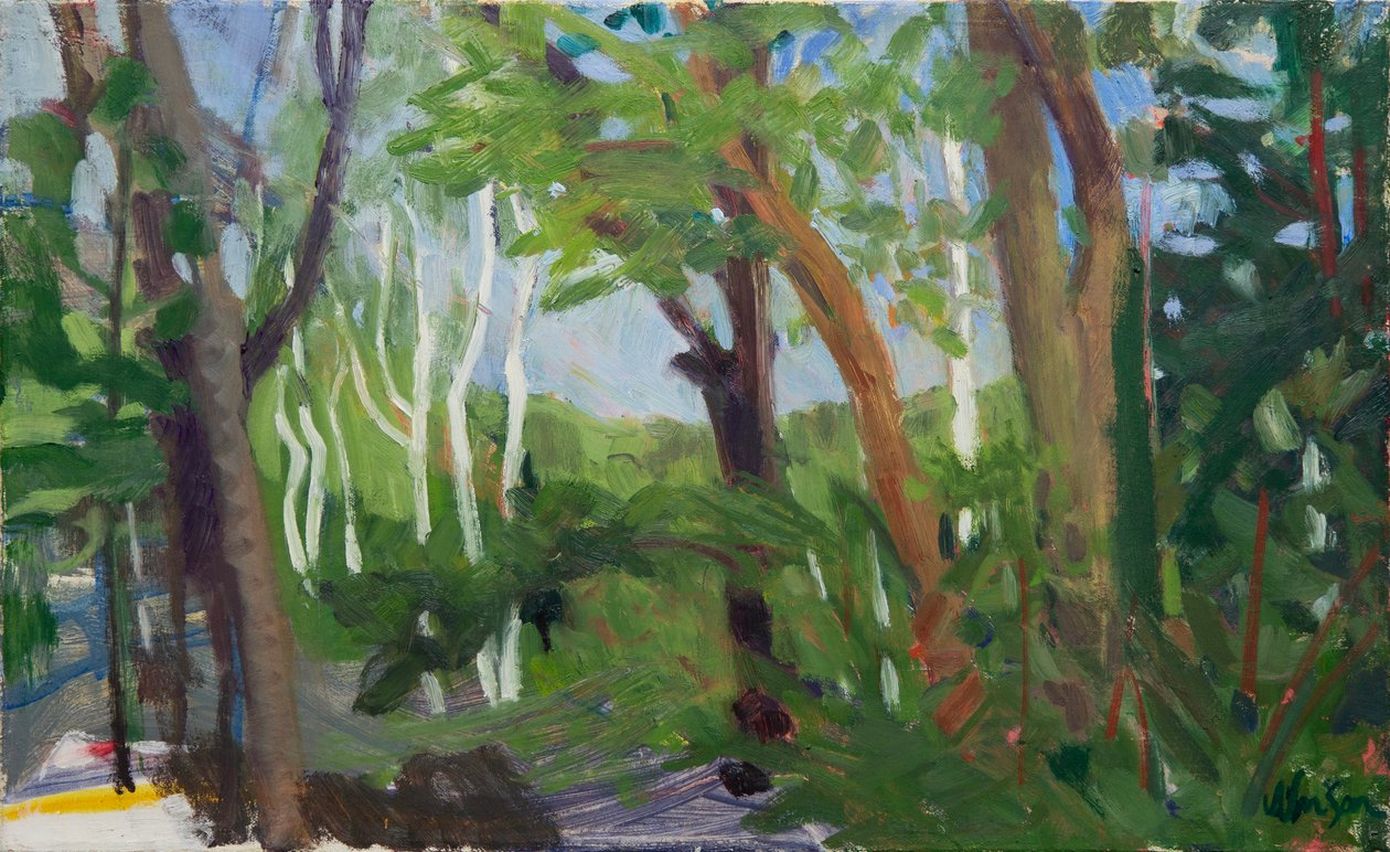 Un pied de bouleau, 2016 (huile sur toile) - Megan Williamson