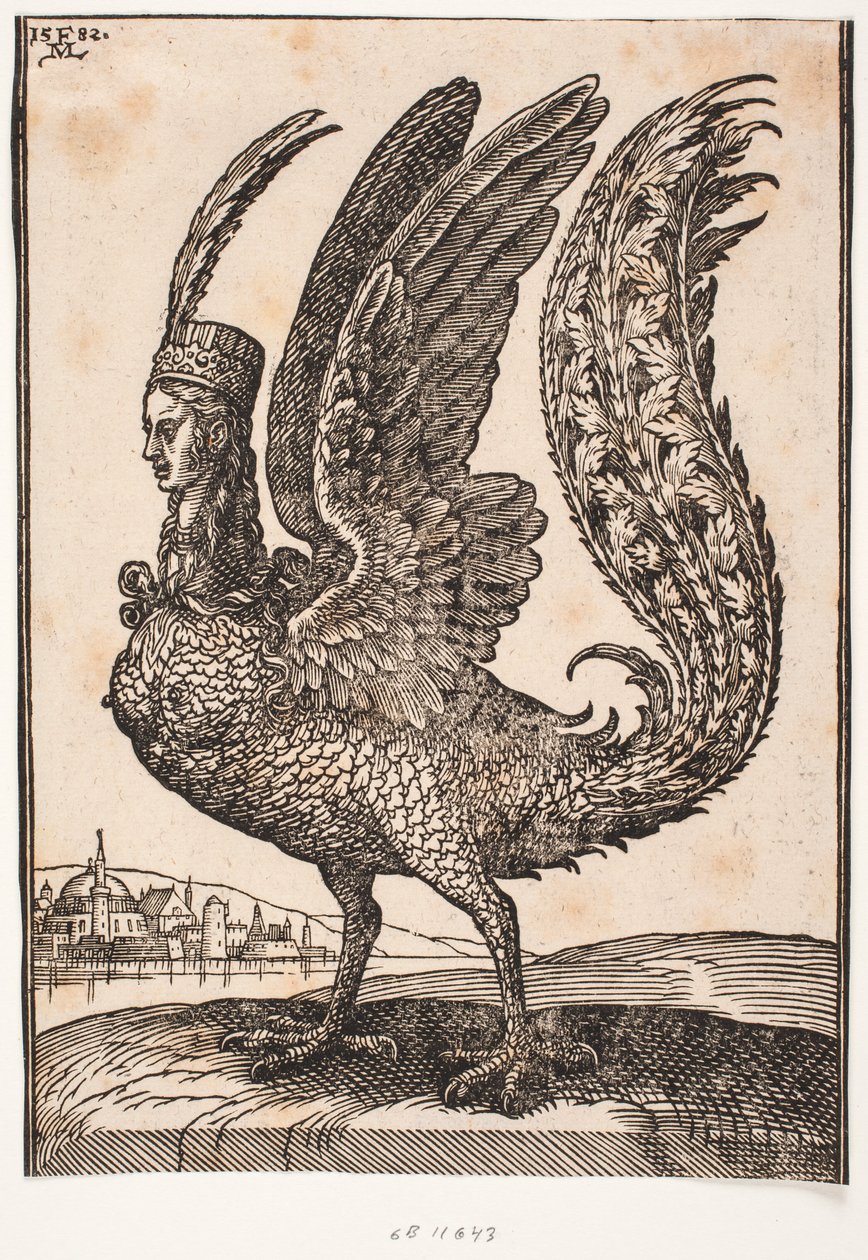 Animal mythique non identifié, harpie ou sirène - Melchior Lorck