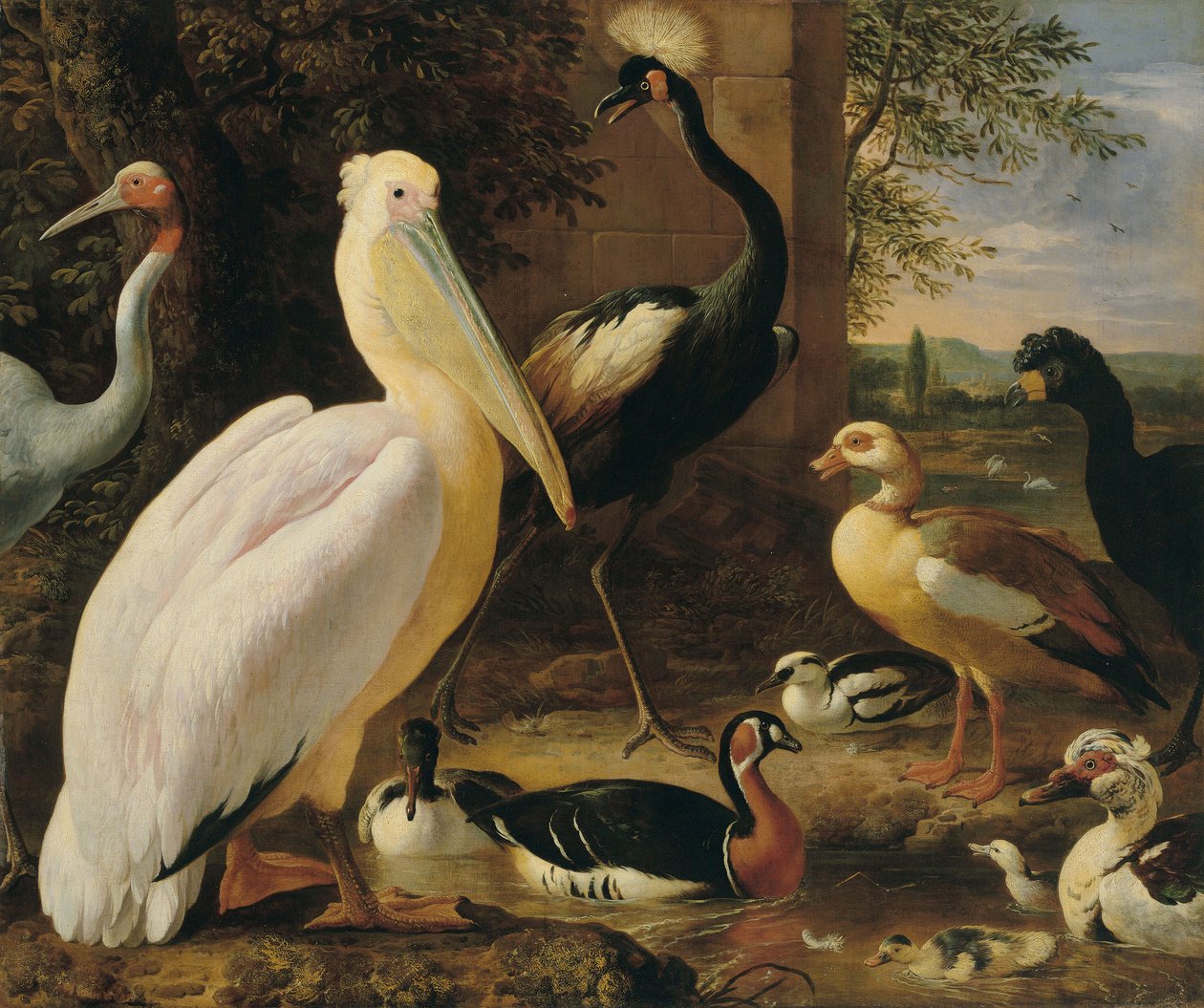 Pélican, grue couronnée, courlis, grue de Sarus et canards dans un paysage fluvial - Melchior d