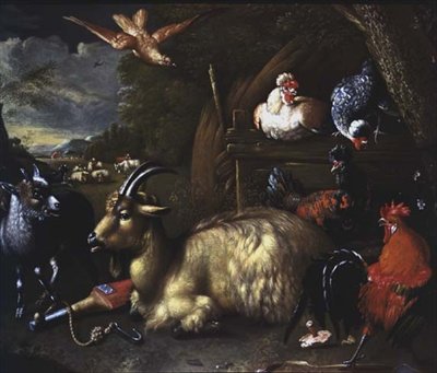 Chèvre avec d