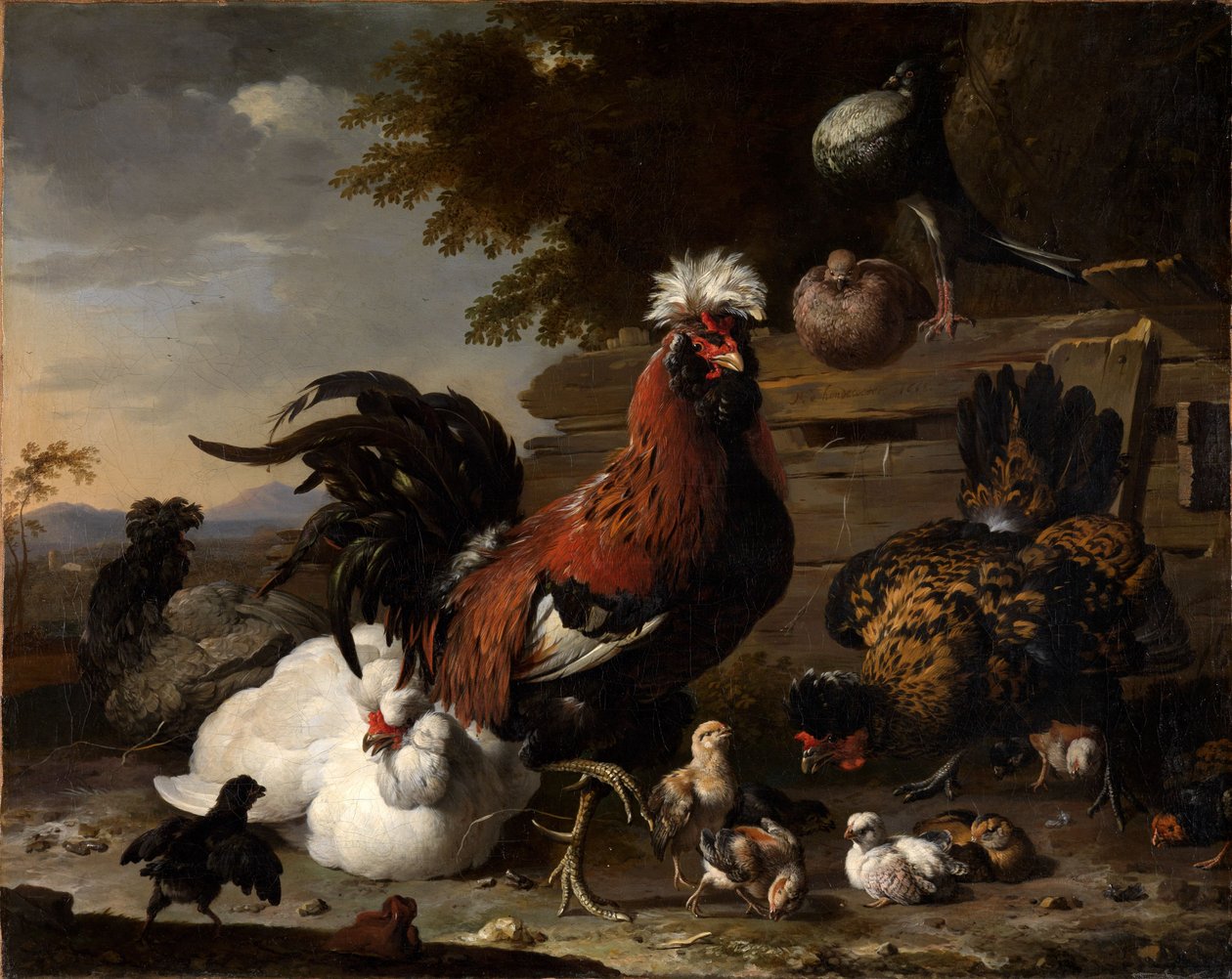 La paix dans la basse-cour - Melchior de Hondecoeter