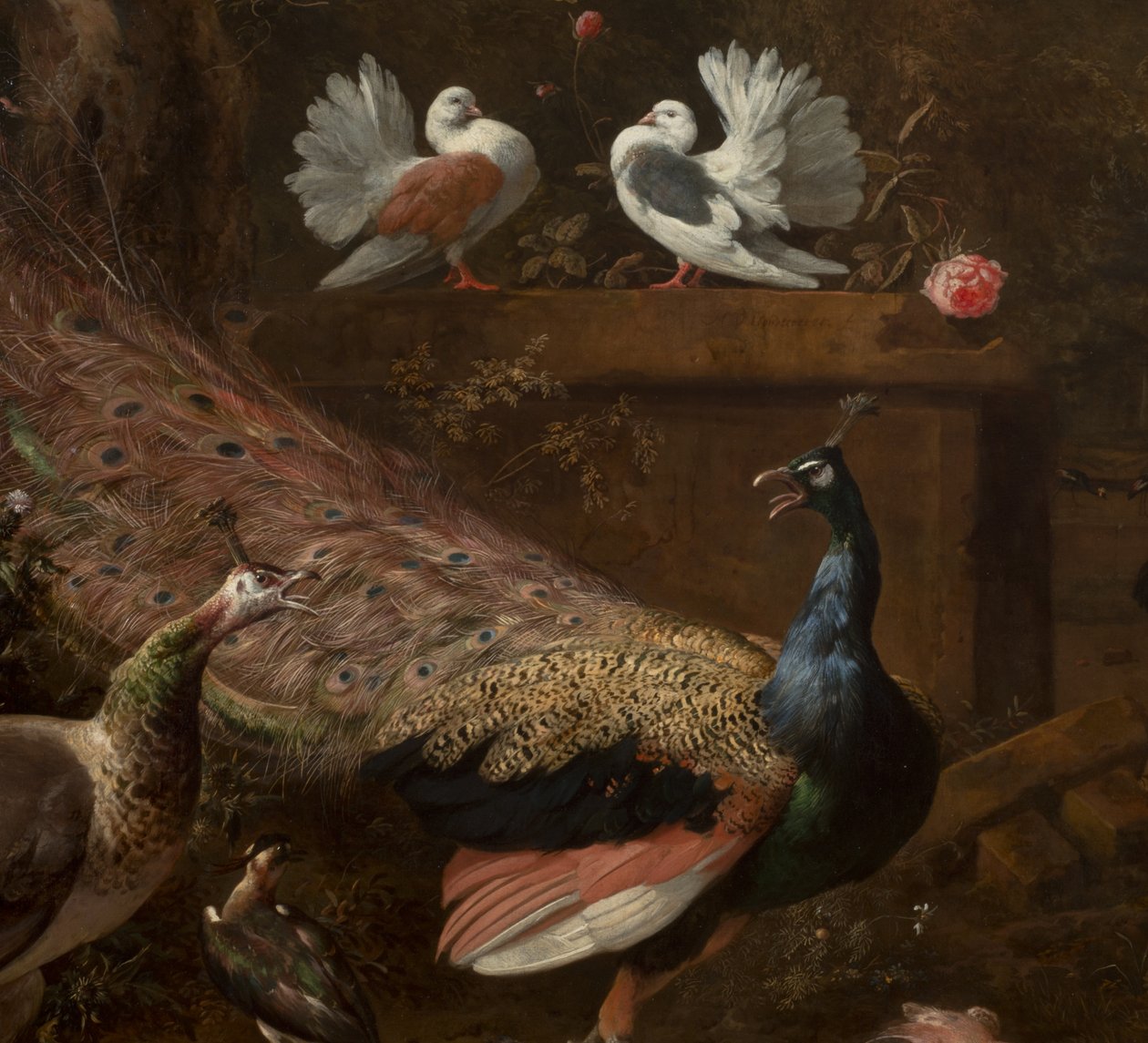 (détail) - Melchior de Hondecoeter