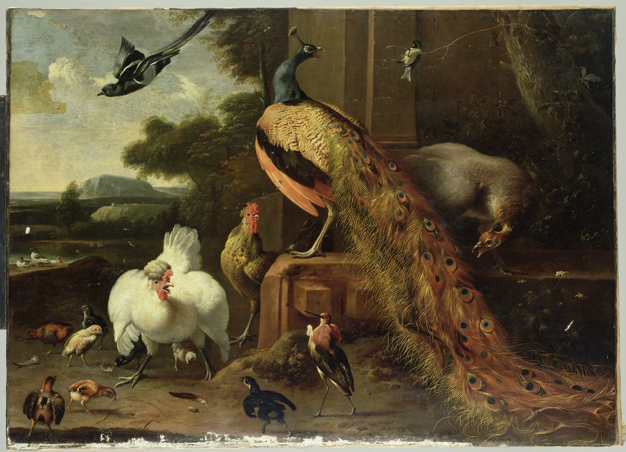 Révolte dans le poulailler - Melchior de Hondecoeter